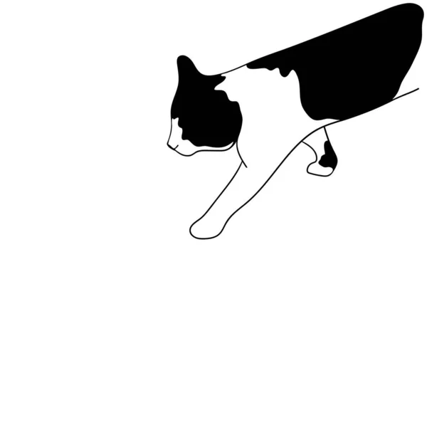 Katzenvektorillustration Umrissvektorillustration Katzenlauf — Stockvektor