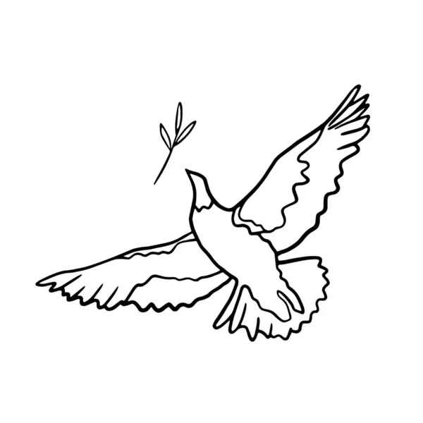 Doodle Dove Peace Illustration Pigeon Olive Branch Line Art Concept — Vettoriale Stock