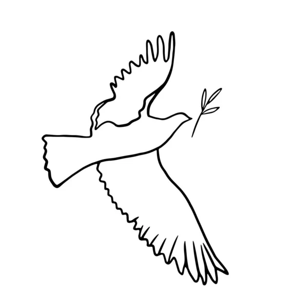 Dove Peace Doodle Illustration Dove Olive Branch Line Art Symbol — Vector de stock