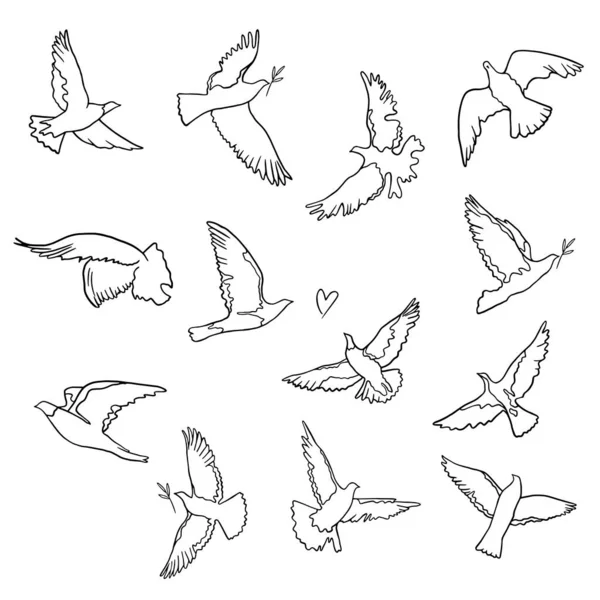 Doodle Dove Peace Illustration Set Concept Peace Flying Stylized Bird — Image vectorielle