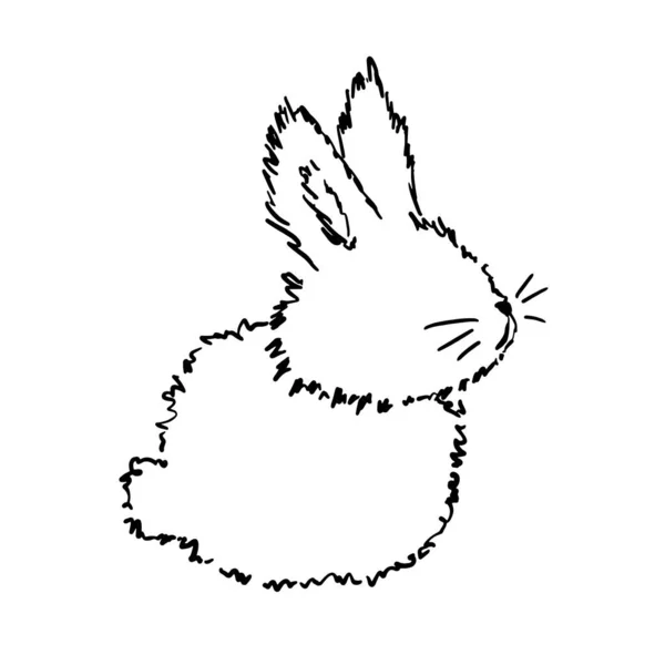 Baby Bunny Doodle Illustration Hand Drawn Little Rabbit Illustration Bunny — Stok Vektör