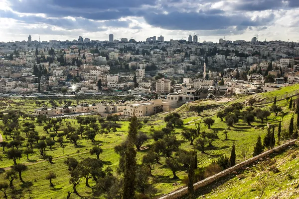 Israël, mount olijven — Stockfoto