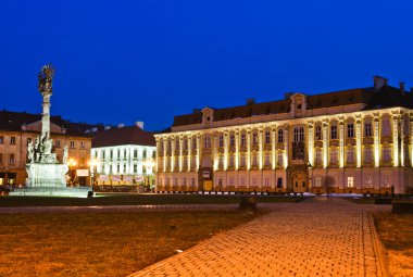 timisoara Unirii square