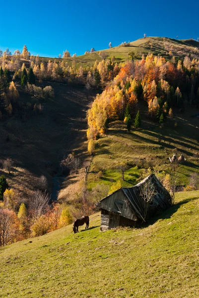 Paesaggio di villaggio in Romania — Foto Stock