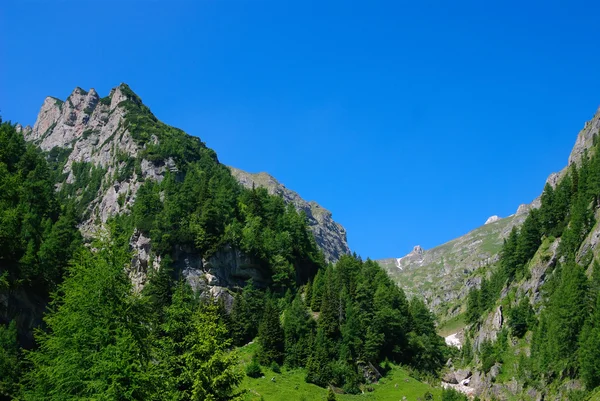 Горы Бучеджи, Румыния — стоковое фото