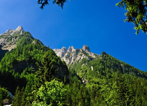 Bucegi Dağları, Romanya — Stok fotoğraf