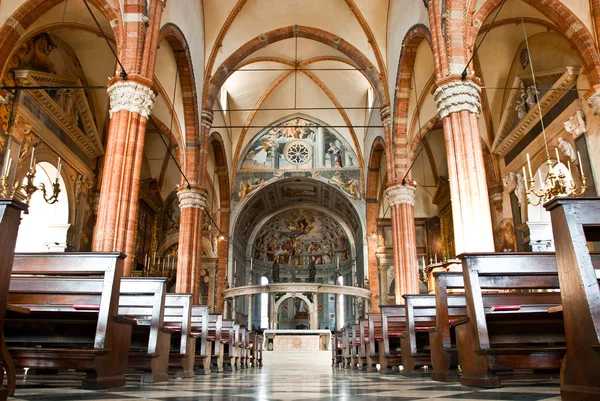 베로나에서 두오모 교회 — 스톡 사진