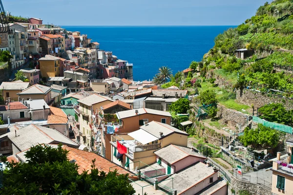 Manarola village, Cinque Terre, Italy — Stock Photo, Image