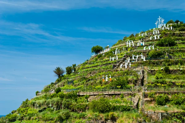 意大利Cinque Terre Manarola村 — 图库照片