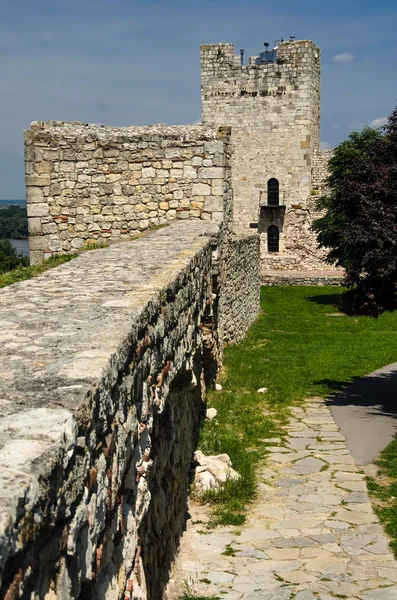 Fästningen Kalemegdan, Belgrad — Stockfoto