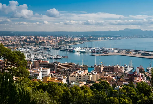 Palma de Maiorca — Fotografia de Stock