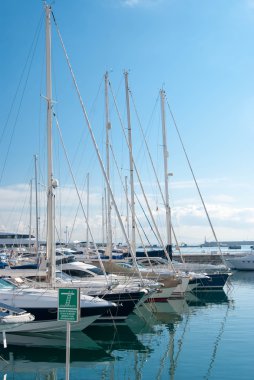 güneşli bir günde teknelerin grubu