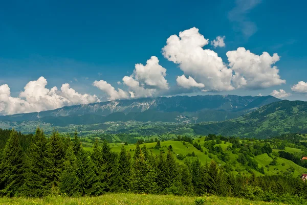 Piatra Craiului — Stock fotografie