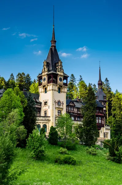 yan görünüm peles Kalesi