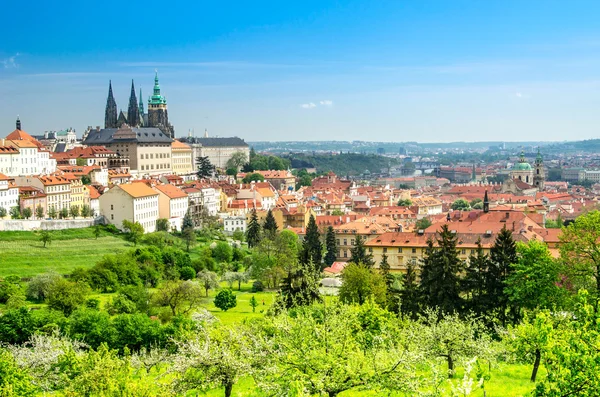 Panoramautsikt över Prag med St Vitus-katedralen — Stockfoto