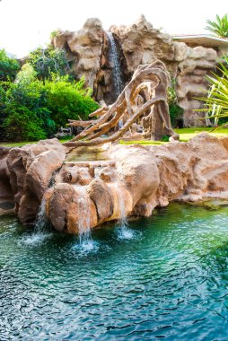 Tenerife - park