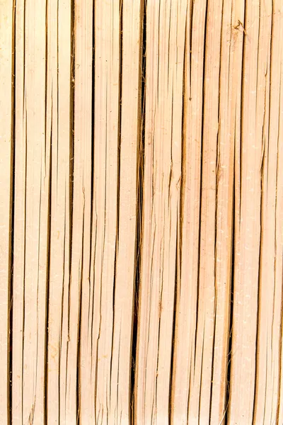 Bamboo texture — Stock Photo, Image