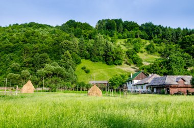maramures kırsal manzara