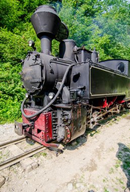 mocanita tren vaser Valley, maramures