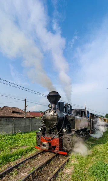 Mocanita tåg i vaser valley, maramures — Stockfoto