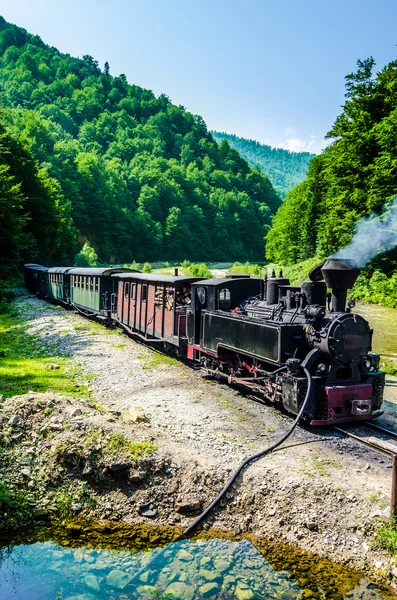 Mocanita tåg i vaser valley, maramures — Stockfoto