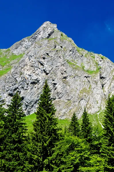 Retezat berg, Roemenië — Stockfoto