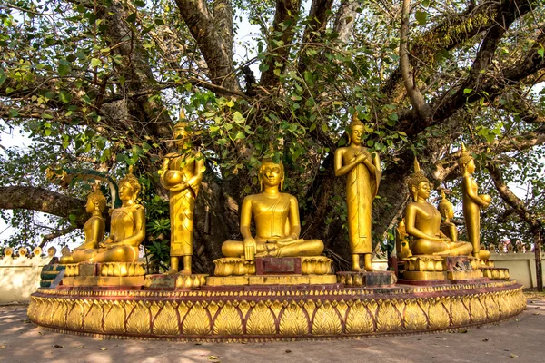 Buddha sculptures at Pha That Luang — Stock Photo, Image