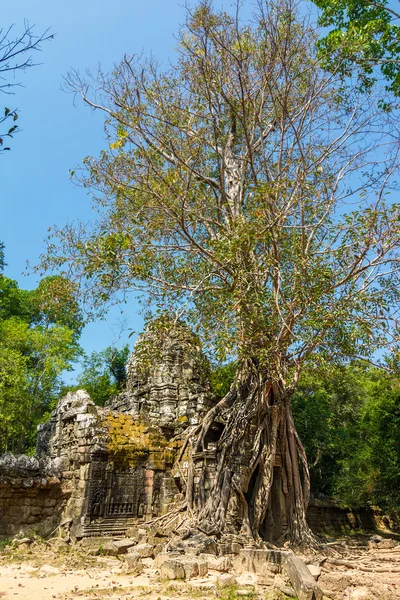 Puerta de entrada al Templo de Ta Som, Siem Reap, Camboya —  Fotos de Stock