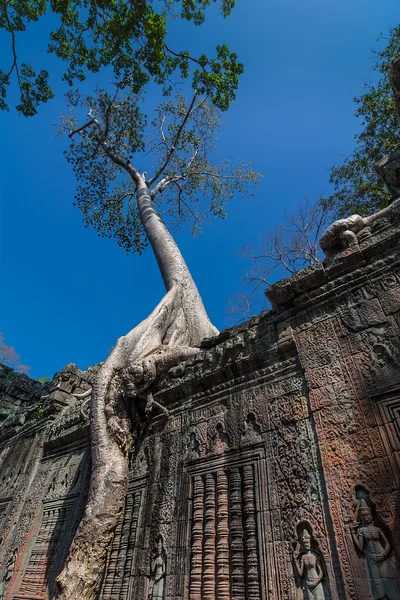 柏汗寺，柬埔寨，暹粒 — 图库照片