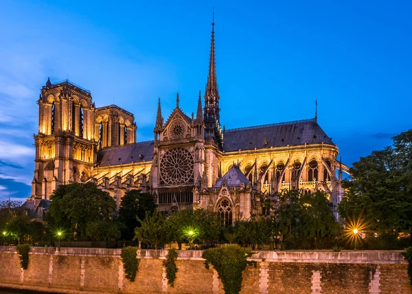 Notre Dame de Paris vista catedral-noite — Fotografia de Stock