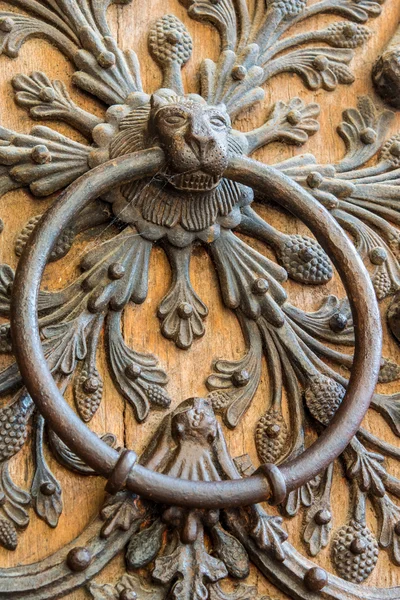 Cabeza de león en la puerta vintage Notre Dame de Paris — Foto de Stock