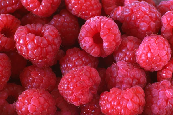 Closeup of fresh, juicy rasperries — Stock Photo, Image