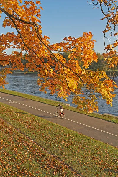 Carril bici a orillas del río en otoño —  Fotos de Stock