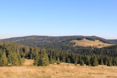 turbacz içinde gorce, Polonya dan sonbahar dağ manzarası