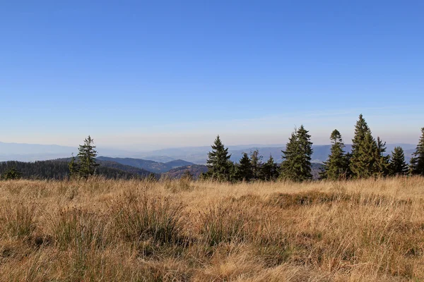 Krásné, podzimní panoramatický pohled gorce hory v Polsku — Stock fotografie