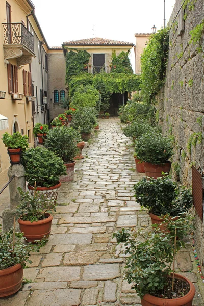 Gyönyörű zöld keskeny utca-San Marino — Stock Fotó