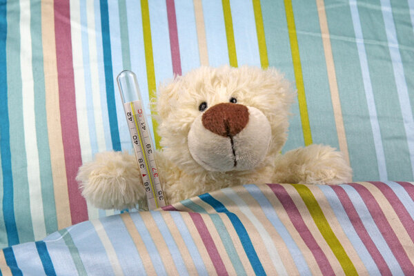 Sick bear in bed