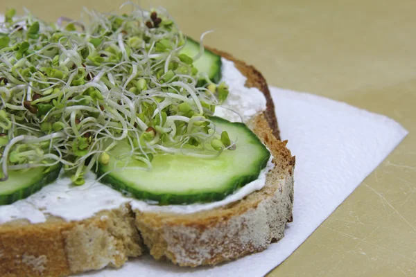 Primer plano de sándwich verde, fresco con brotes — Foto de Stock