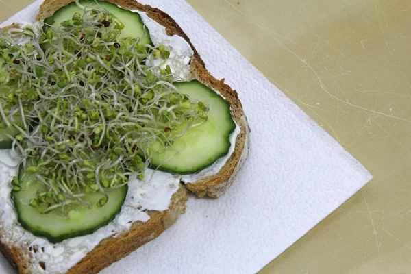 Healthy sandwich with fresh sprouts — Stock Photo, Image