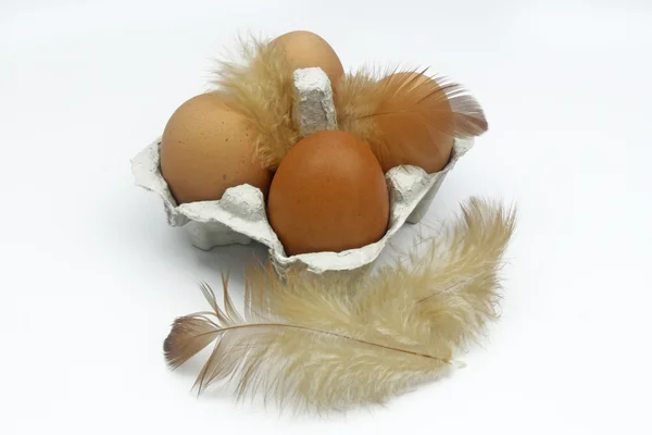 Eggs in the box with feathers — Stock Photo, Image