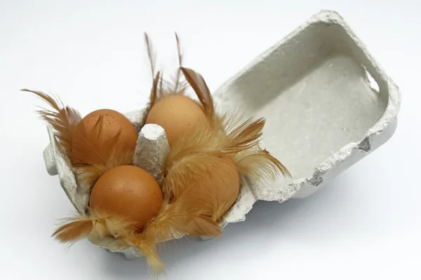 Eggs in box with feathers, selective focus — Stock Photo, Image