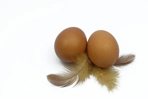 Two eggs with feathers isolated on white — Stock Photo, Image