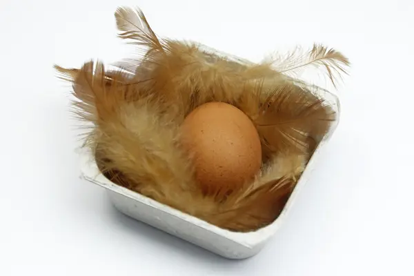 Egg in a feathers nest — Stock Photo, Image