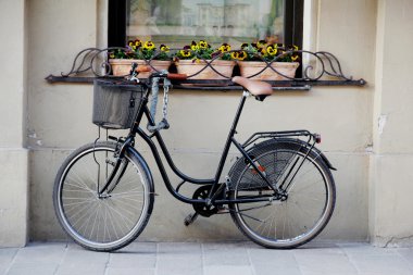 Hercai Menekşe ile pencere altında bisikletle pencere