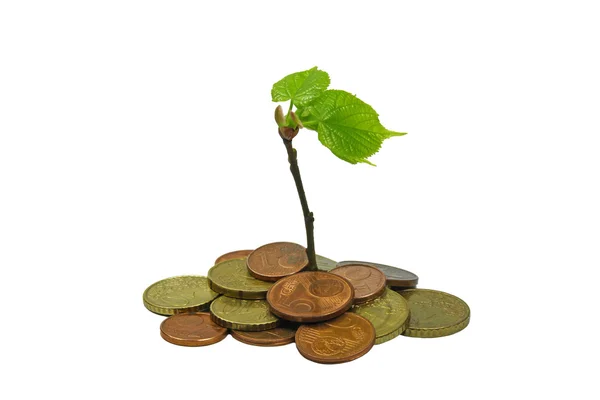 Green plant growing from pile of coins — Stock Photo, Image