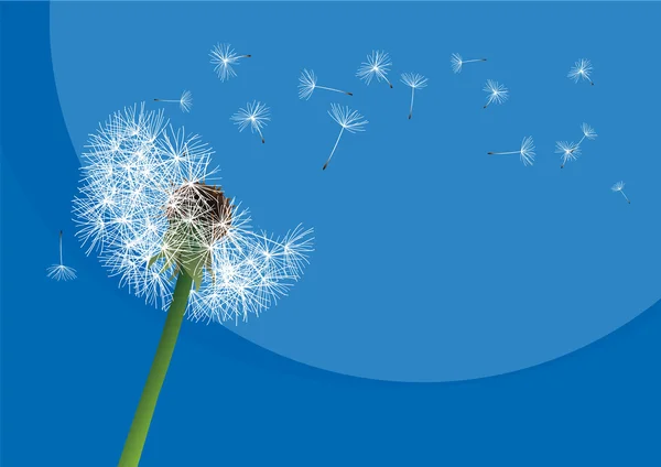 Vector dandelion on a wind loses the integrity — Stock Vector