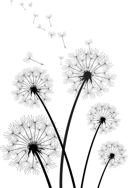 Vector dandelions — Stock Vector