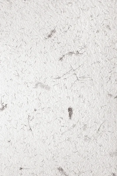 Біла, декоративна текстура паперу ручної роботи з квітковим візерунком — стокове фото