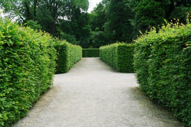 Labirent bahçede schonbrunn, Viyana, Avusturya