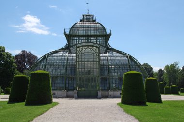 ön palm House schonbrunn Bahçe, Viyana, Avusturya